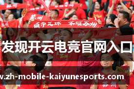 发现开云电竞官网入口